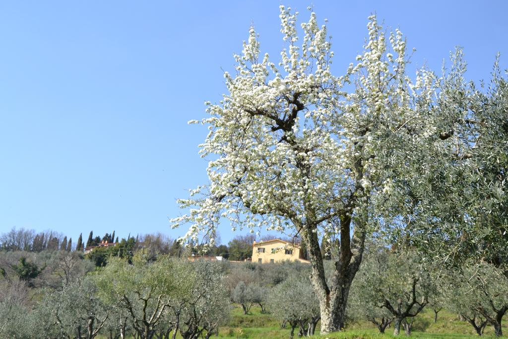 Agriturismo La Corte Pistoia Exterior photo